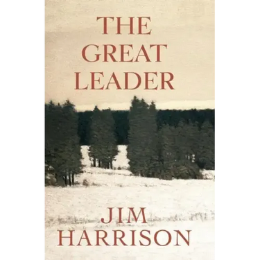 The Great Leader: A Faux Mystery