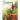 Gardening Journal