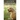 Golden Retriever: A Dog Training Guide on How to Raise, Train and Discipline Your Golden Retriever Puppy for Beginners
