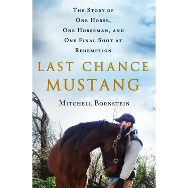 Last Chance Mustang