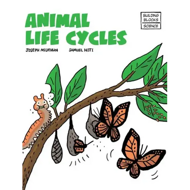 Animal Life Cycles