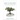 What Is Freedom?: Conversations with Historians, Philosophers, and Activists