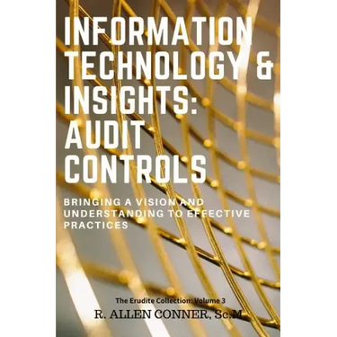 Information Technology & Insights: Audit Controls: Bringing a Vision and Understanding to Effective Practices