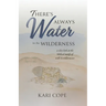 There's Always Water in the Wilderness: A Close Look at the Biblical Motifs of Wells and Wildernesses