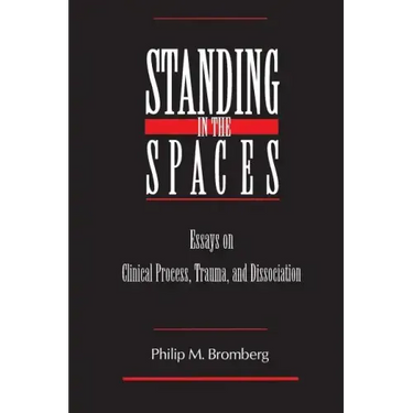 Standing in the Spaces: Essays on Clinical Process Trauma and Dissociation