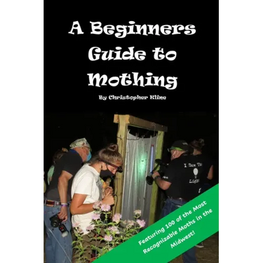 A Beginners Guide to Mothing