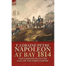 Napoleon at Bay, 1814: The Campaigns to the Fall of the First Empire