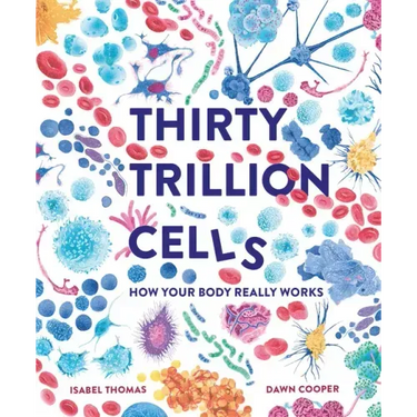 Thirty Trillion Cells: How Your Body Really Works