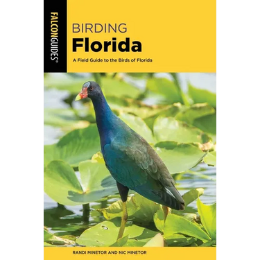 Birding Florida