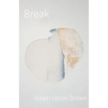 Break: poems on mental illness