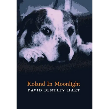 Roland in Moonlight