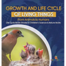 Growth and Life Cycle of Living Things: From Animals to Humans Life Cycle Books Grade 4 Children's Science & Nature Books
