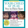 Your Child at Play: Two to Three Years: Growing Up, Language, and the Imagination