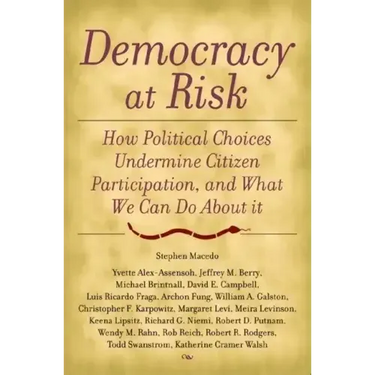 Democracy at Risk: How Political Choices Undermine Citizen Participation, and What We Can Do About It