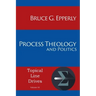 Process Theology and Politics