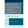 American and Chinese Energy Security: A Grand Strategic Approach