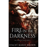 Fire In The Darkness