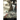 Interregnum