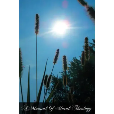 A Manual Of Moral Theology: Volume 2 For English Speaking Countries