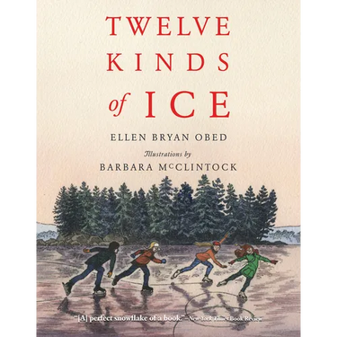 Twelve Kinds of Ice