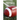 Football Muscle Building Recipes for Pre and Post Competition: Discover how to recover faster and improve your performance by feeding your body powerf
