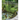 Backyard Water Gardens: How to Build, Plant & Maintain Ponds, Streams & Fountains