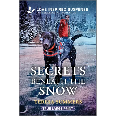 Secrets Beneath the Snow