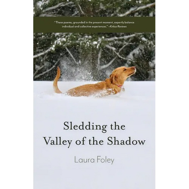 Sledding the Valley of the Shadow