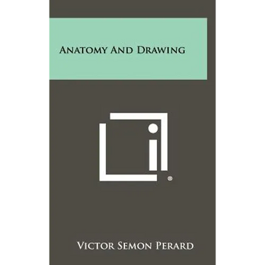 Anatomy And Drawing