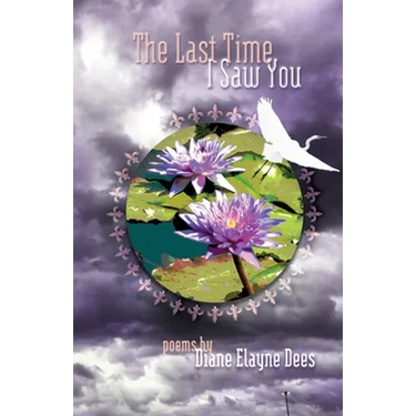 The Last Time I Saw You