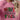 aa9a204329a94f688206dee59d1ddbb3-Max