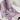 aae04a91-378a-49df-88bc-c35283f935c3-Max