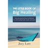 The Little Book of Big Healing: Introducing the Ease In Method for self-healing body, mind, and spirit