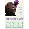 Replenishing the Earth: Spiritual Values for Healing Ourselves and the World