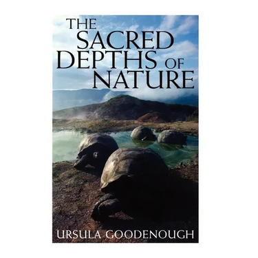 The Sacred Depths of Nature