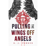 Pulling the Wings Off Angels