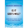 Is It God's Will?: Making Sense of Tragedy, Luck, and Hope in a World Gone Wrong