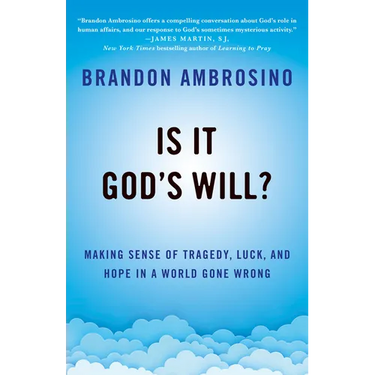 Is It God's Will?: Making Sense of Tragedy, Luck, and Hope in a World Gone Wrong