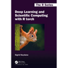 Deep Learning and Scientific Computing with R torch