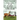 The Case of the Llama Raising Librarian
