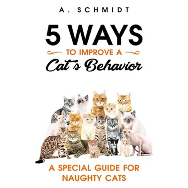 5 Ways to Improve a Cat's Behavior: A Special Guide for Naughty Cats