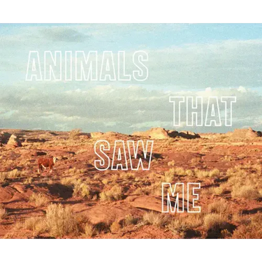 Ed Panar: Animals That Saw Me: Volume Two