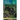 Forest Forensics: A Field Guide to Reading the Forested Landscape