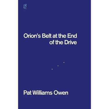 Orion's Belt at the End of the Drive
