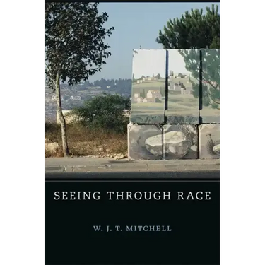 Seeing Through Race