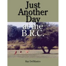 Just Another Day at the B.R.C.