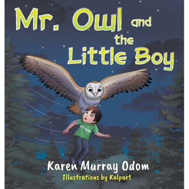 Mr. Owl and the Little Boy