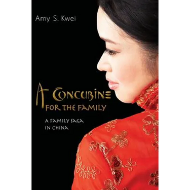 A Concubine for the Family: A Family Saga in China