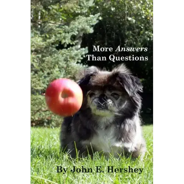 More Answers than Questions