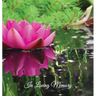 Funeral Guest Book, "In Loving Memory", Memorial Guest Book, Condolence Book, Remembrance Book for Funerals or Wake: HARDCOVER. A Memorial Service Gue